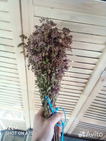 Веники для бани