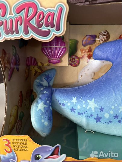 Дельфин Долли