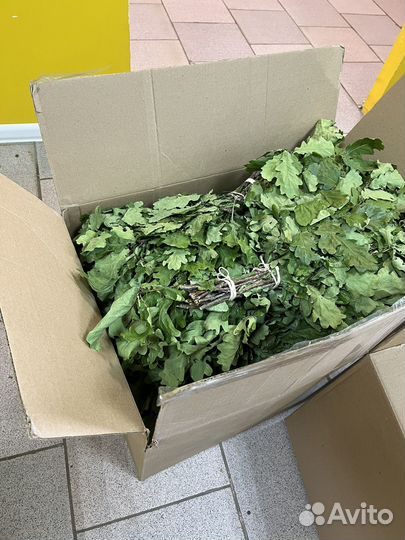 Веник дубовый для бани