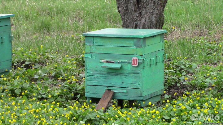 Ульи для пчел