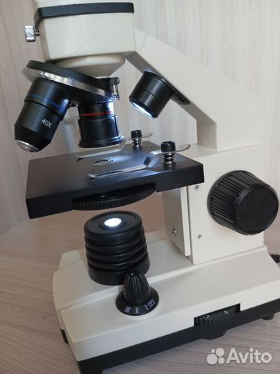 Цифровой микроскоп Levenhuk D2L NG