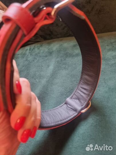 Ошейник для собак hunter