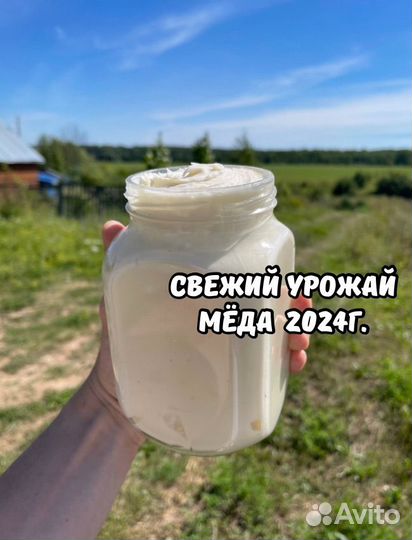 Аккураевый мед - Свежий мед 2024