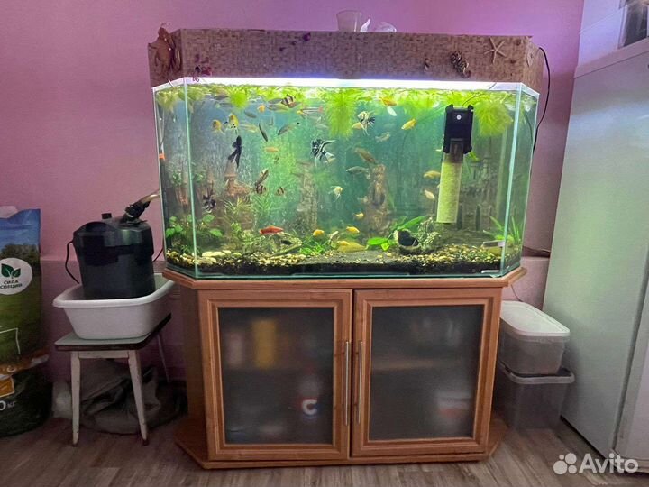 Аквариум в комплекте со всем