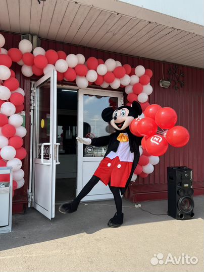 Костюм для аниматора