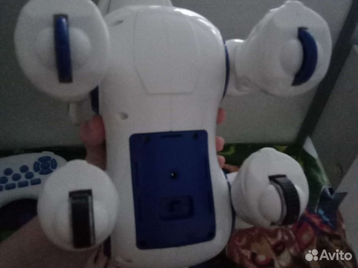Собака робот