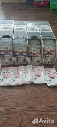 Корм для кошек и собак royal canin
