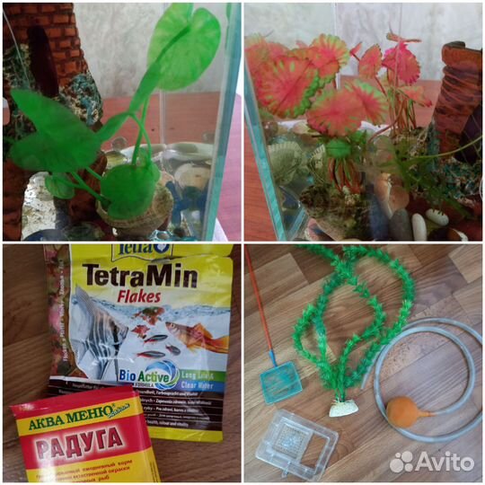 Аквариум и принадлежности к нему