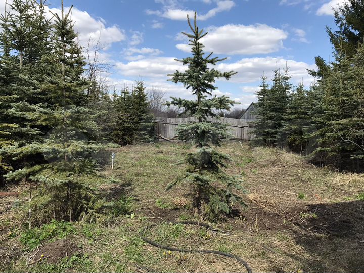 Участок 13 сот. (СНТ, ДНП)