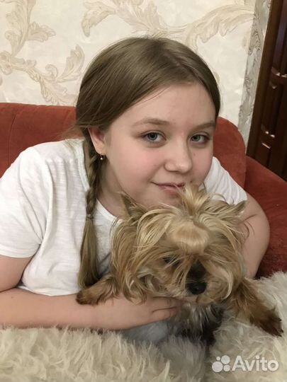 Выгул животных