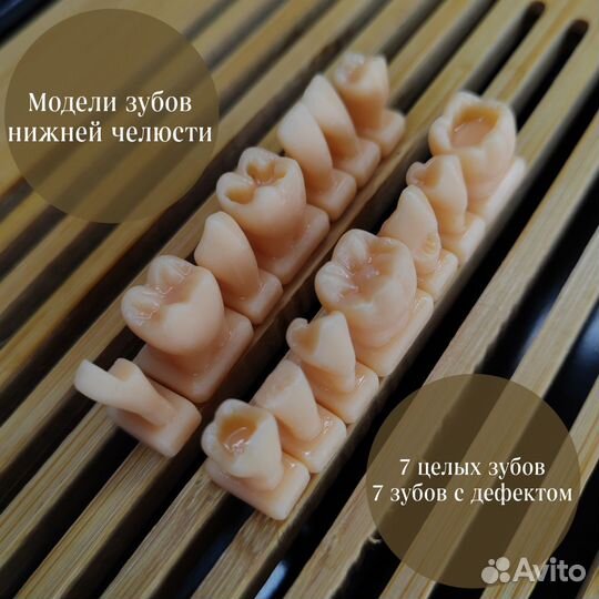 Модели зубов для реставрации
