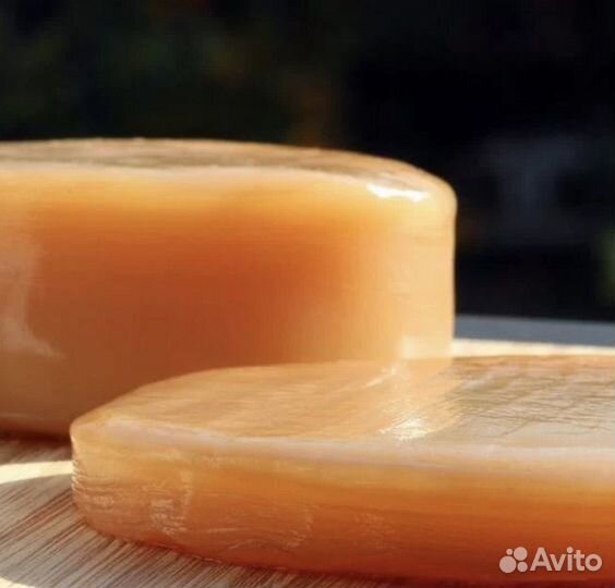 Чайный гриб Комбуча