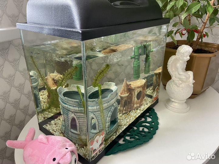 Аквариум
