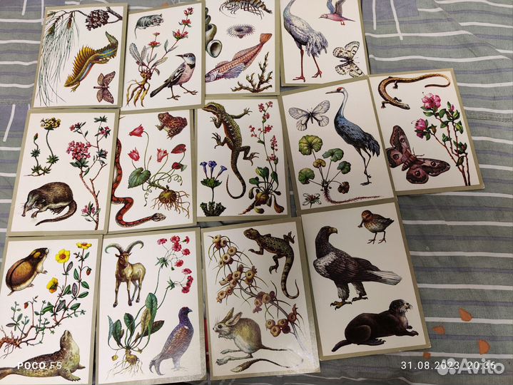 Открытки чистые серии 1976-1982