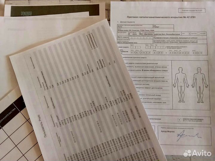 Поймай Убийцу - Антарктика