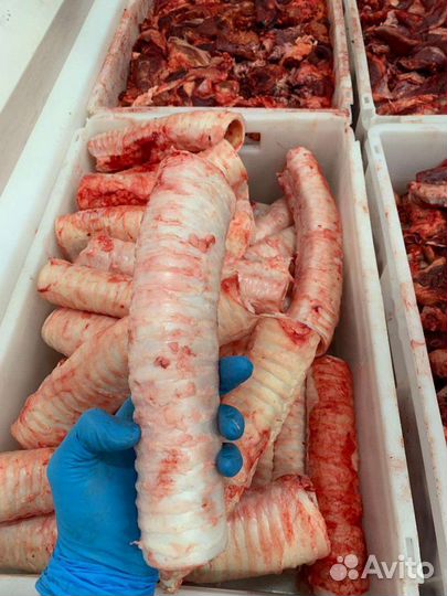 Обрезь сердца говяжьего