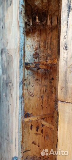 Колода, Борть, Пчеловодство