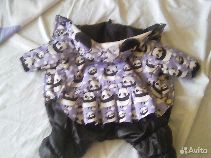 Одежда для собак