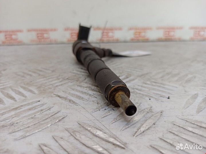 Форсунка Opel Insignia (A) 2009 55566050