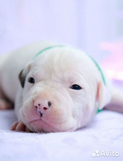 Мальчик аст в тяжёлом типе