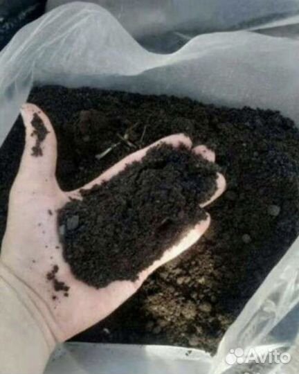 Перегной коровий в мешках