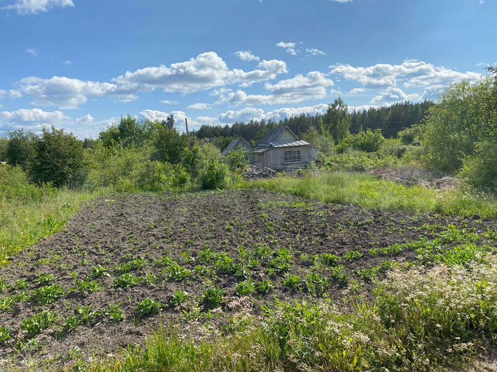 Участок 6 сот. (СНТ, ДНП)