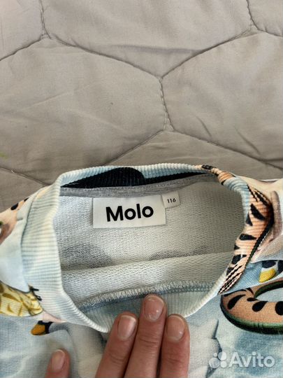 Свитшот / толстовка Molo 116