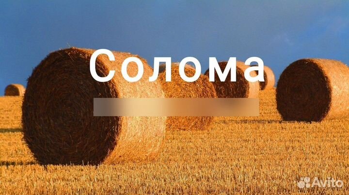 Солома в рулонах 2024 года