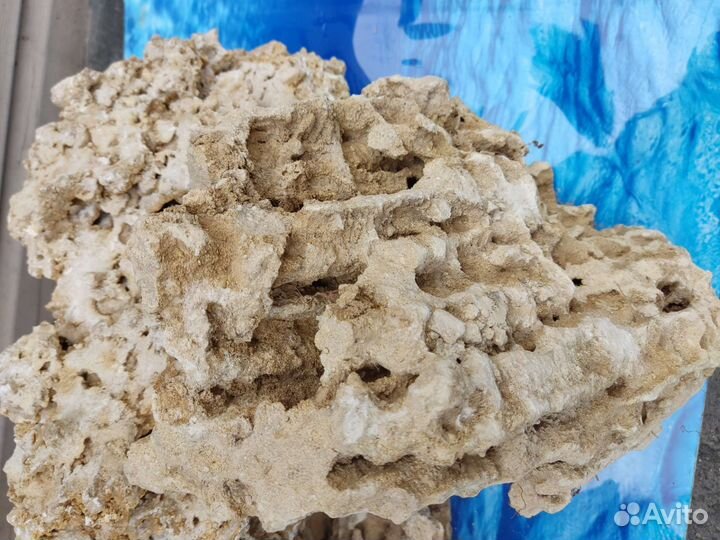 Камень песчанник