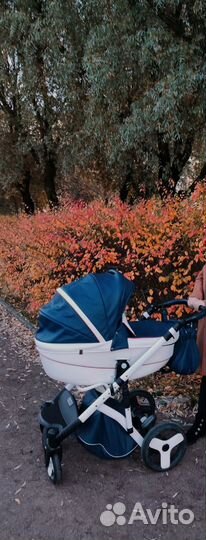 Коляска 2 в 1 Adamex