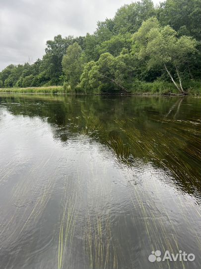 Прогулка сплав на сапборде