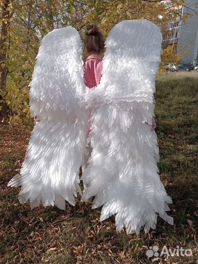 Крылья ангела аренда и продажа