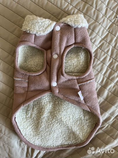 Костюм для небольшой собаки