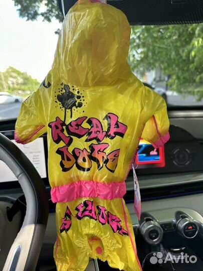 Одежда для животных