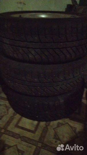 Brasa IceControl 195/55 R15