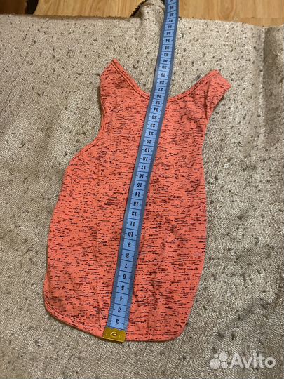 Одежда для кошек