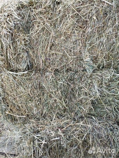 Сено в тюках