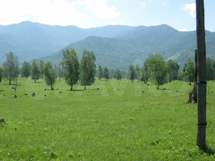 Участок 15 сот. (ИЖС)