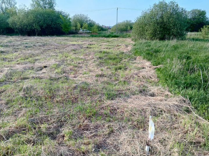 Участок 18 сот. (СНТ, ДНП)