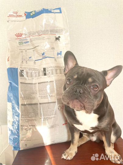 Корм Royal Сanin/Роял Канин мини паппи 10кг