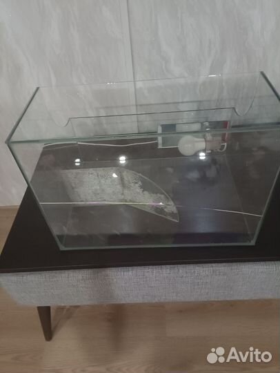 Аквариумные рыбки