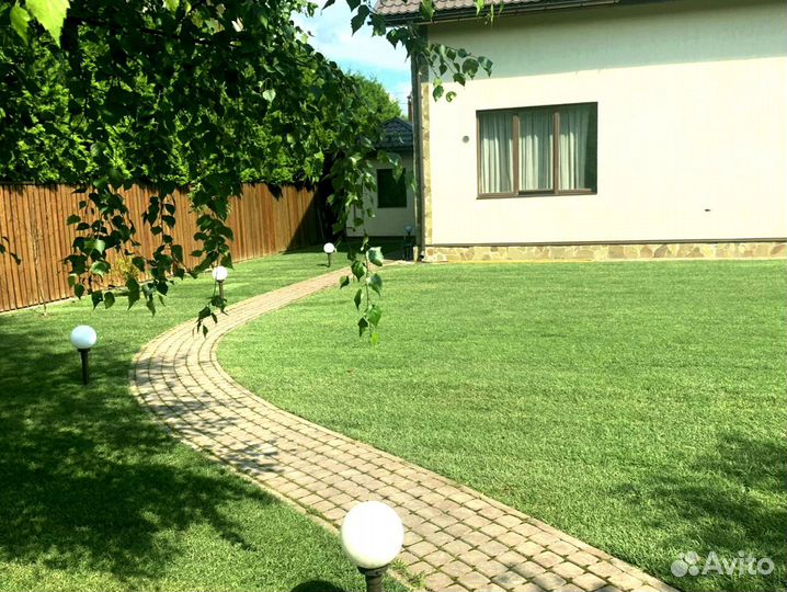 Рулонный газон 
