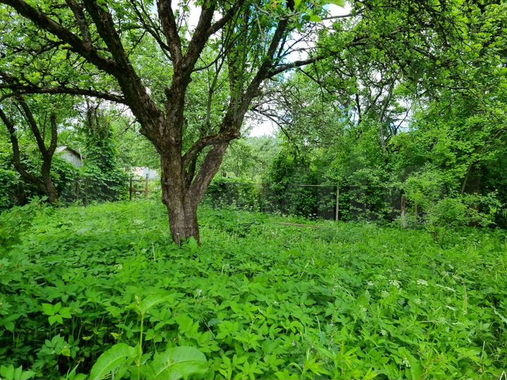 Участок 6 сот. (СНТ, ДНП)