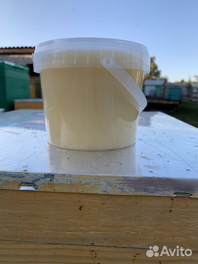 Свежий мед 2023 года с доставкой