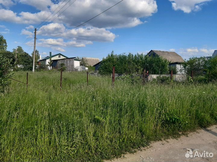 Покос травы и уход за участком