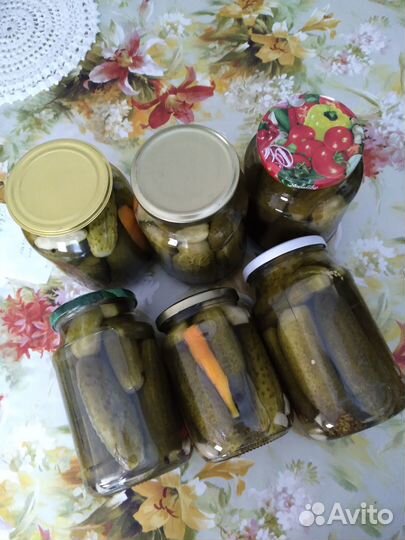 Домашние соленые огурцы