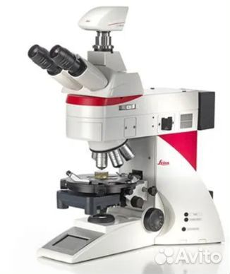 Бинокулярный микроскоп