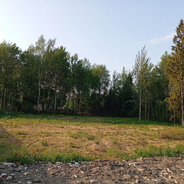 Участок 10 сот. (СНТ, ДНП)