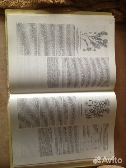 Атлас растений СССР