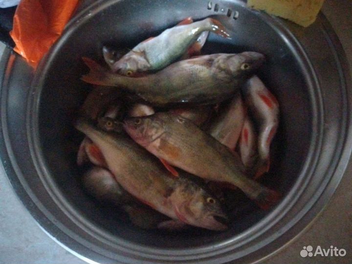 Силиконовые приманки для микроджига